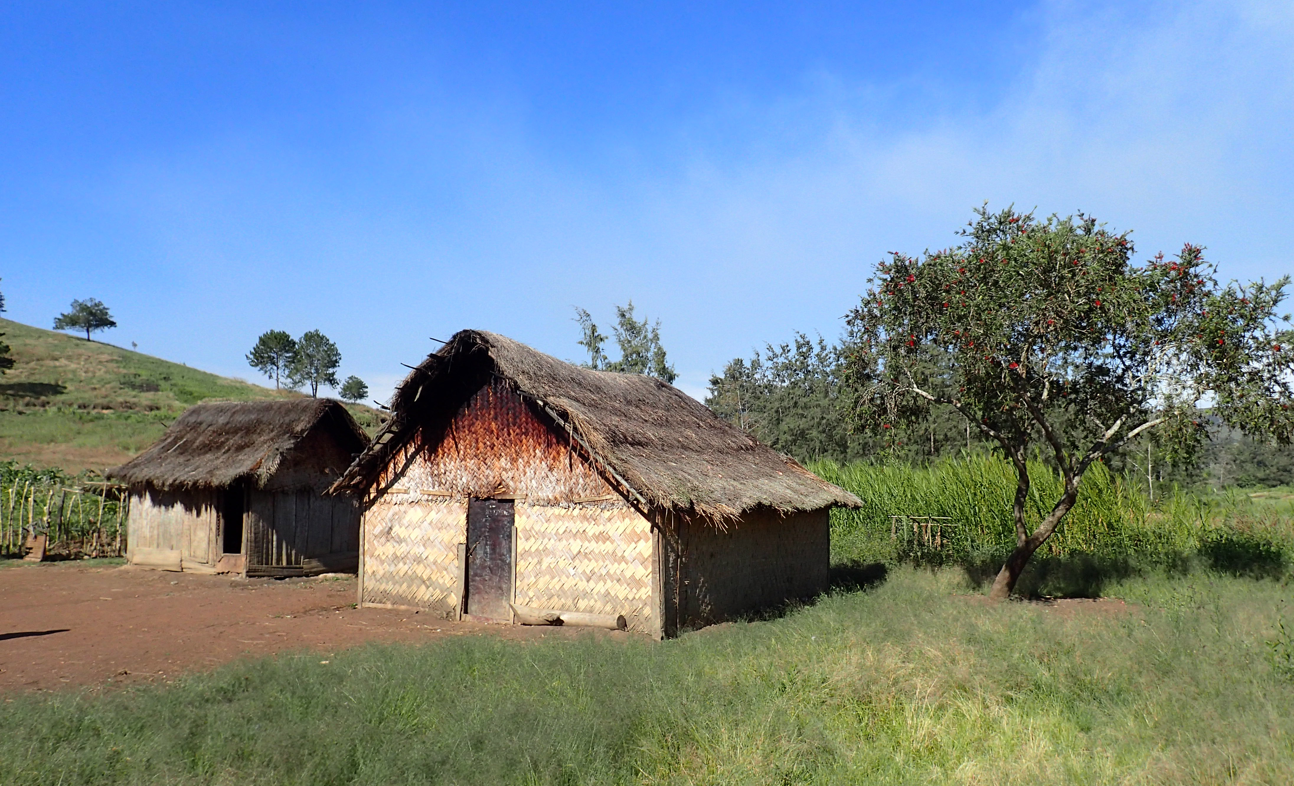 Typical smallholder farm.JPG